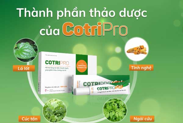 2. CotriPro được chiết xuất từ các thảo dược nào? 1