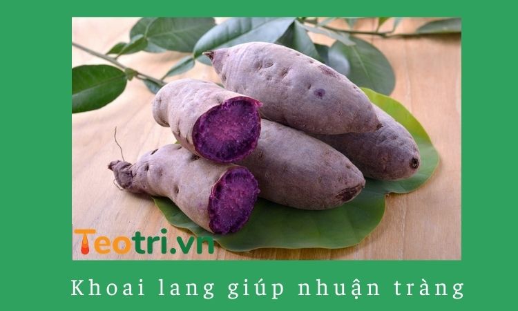 Thực phẩm giúp nhuận tràng 1