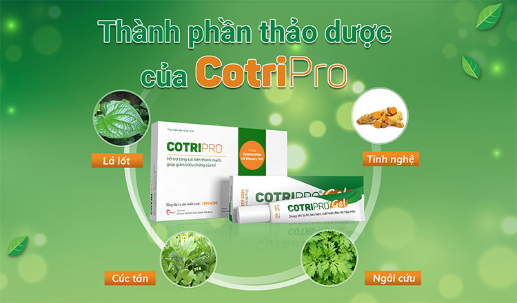 Sử dụng CotriPro giúp giảm đau rát hậu môn nhanh chóng 1