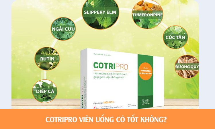 Cotripro viên uống có tốt không? Hiệu quả với bệnh trĩ như thế nào?