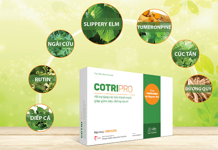 Cotripro Gel - Kết hợp các vị thuốc dân gian giúp giảm đau, co trĩ hiệu quả 2