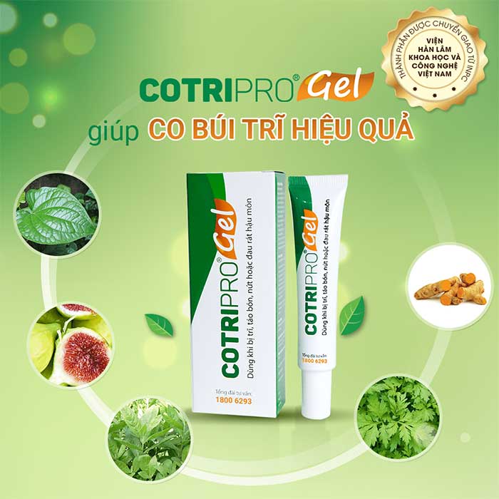 Công dụng của các thành phần thảo dược có trong gel bôi trĩ CotriPro: 1