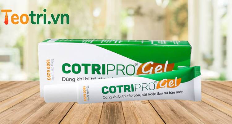 Sử dụng gel Cotripro hỗ trợ điều trị trĩ nội độ 1 1