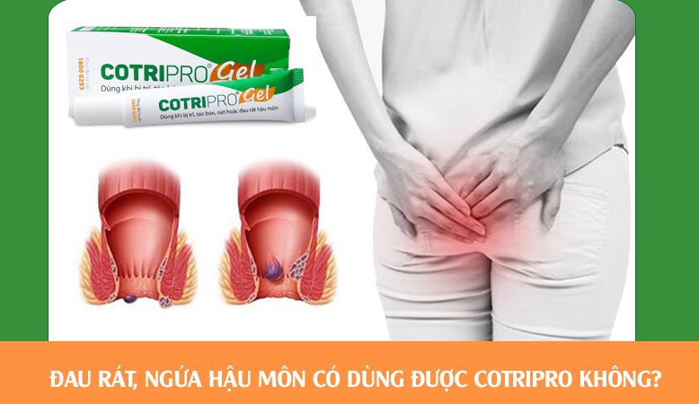 Trĩ lâu năm, Đau rát, Ngứa hậu môn có dùng được Cotripro không?