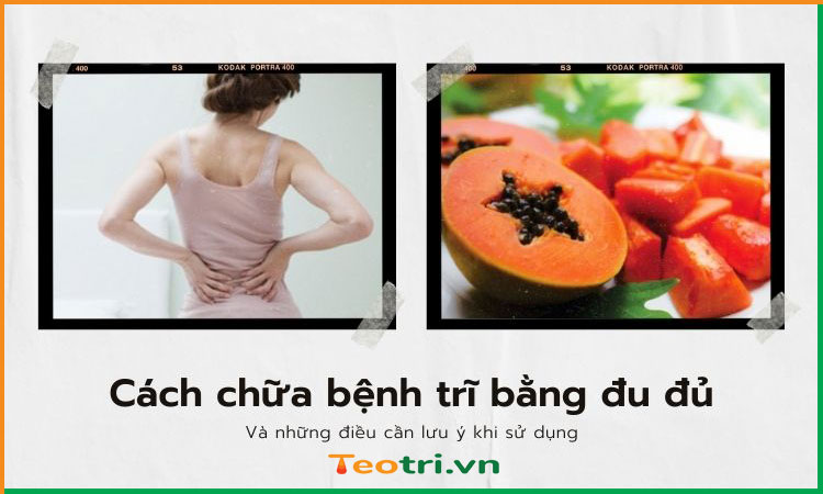 Cách chữa bệnh trĩ bằng đu đủ đúng cách tại nhà