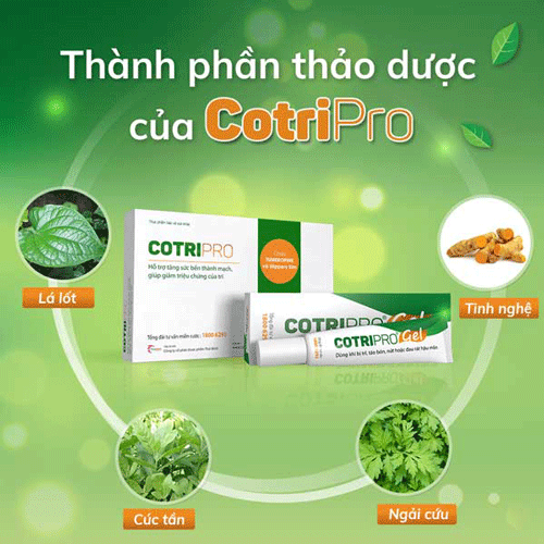 Công dụng của các thành phần thảo dược có trong gel bôi trĩ CotriPro: 1