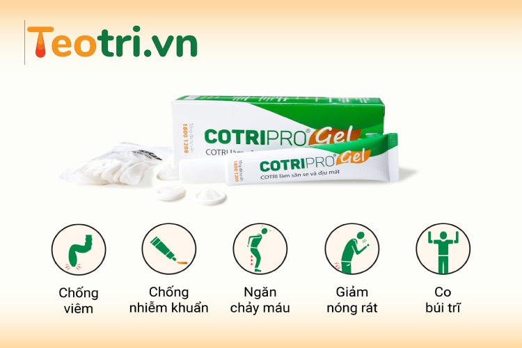 Gel bôi trĩ Cotripro - giúp co nhỏ búi trĩ, giảm đau rát cho phụ nữ sau sinh 1